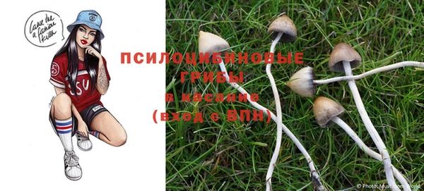 эйфоретик Михайловск