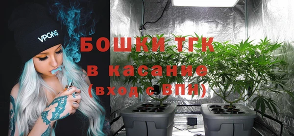 эйфоретик Михайловск