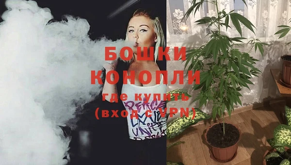 эйфоретик Михайловск