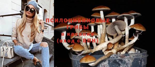 эйфоретик Михайловск