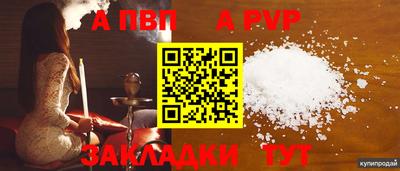 стафф Донецк