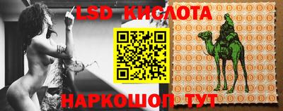 стафф Донецк