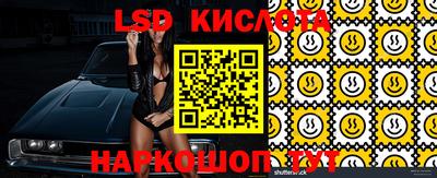 стафф Гатчина