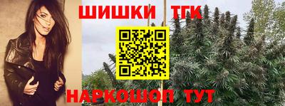 стафф Донецк