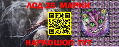 стафф Донской