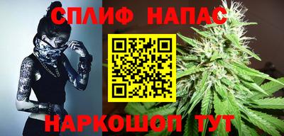 стафф Донской