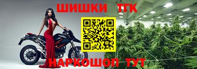 стафф Донской