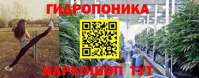 стафф Донецк
