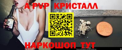 стафф Донецк