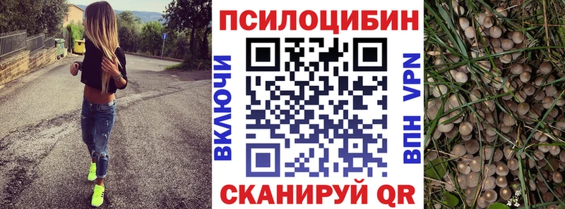 Псилоцибиновые грибы мицелий Кострома