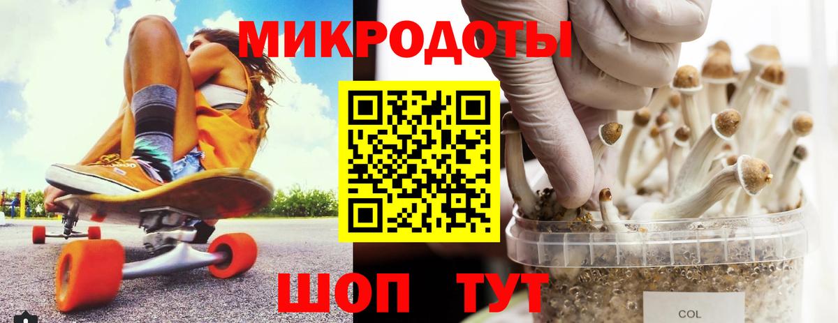 Псилоцибиновые грибы MAGIC MUSHROOMS  Вход с VPN  Кострома  Галлюциногенные грибы MAGIC MUSHROOMS 