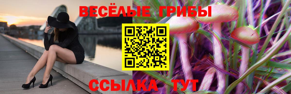 Псилоцибиновые грибы MAGIC MUSHROOMS Кострома